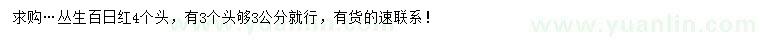 求購4分枝叢生百日紅