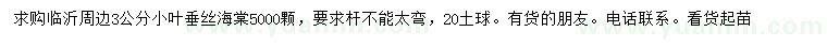 求購3公分垂絲海棠