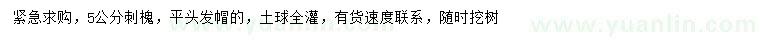 求購5公分刺槐