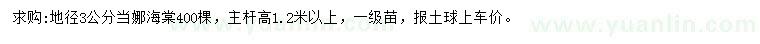 求購地徑3公分當(dāng)娜海棠
