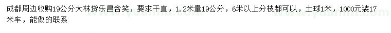 求購1.2米量19公分樂昌含笑