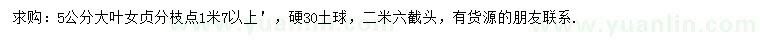 求購5公分大葉女貞