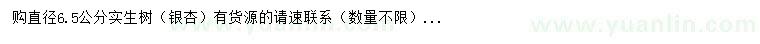 求購直徑6.5公分實生樹（銀杏）