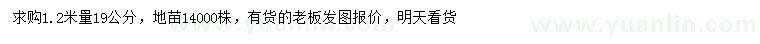 求購米徑3公分黃連木