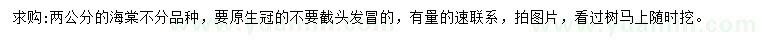 求購2公分的海棠