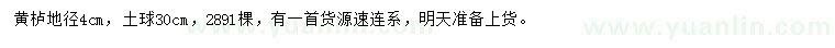 求購地徑4cm黃櫨