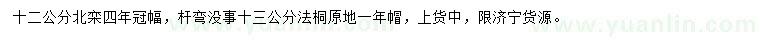 求購12公分北欒、13公分法桐