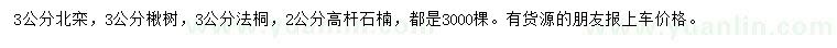 求購北欒、楸樹、法桐等