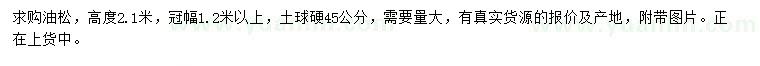 求購高度2.1米油松