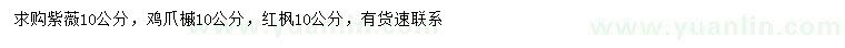 求購(gòu)紫薇、雞爪槭、紅楓