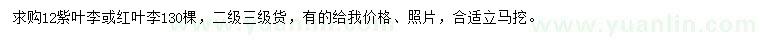 求購12公分紫葉、紅葉李