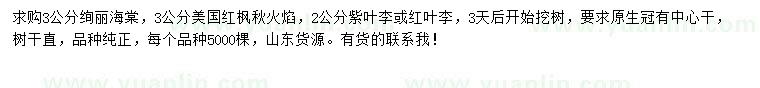 求購絢麗海棠、美國紅楓、紫葉李