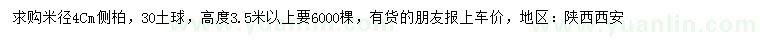 求購(gòu)米徑4公分側(cè)柏