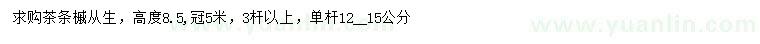 求購(gòu)高8.5米從生茶條槭