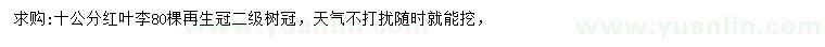 求購10公分紅葉李