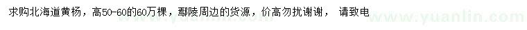 求購高50-60公分北海道黃楊