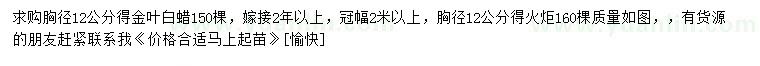 求購(gòu)胸徑12公分金葉白蠟、火炬