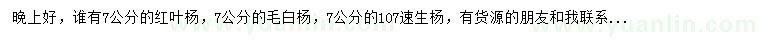 求購(gòu)紅葉楊、毛白楊、107速生楊