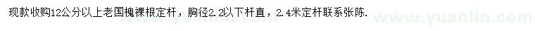 求購(gòu)12公分以上老國(guó)槐