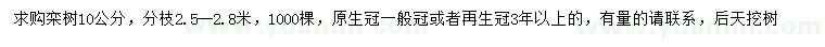 求購(gòu)10公分欒樹