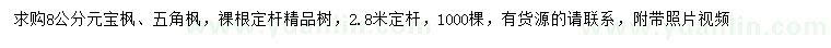 求購(gòu)8公分元寶楓、五角楓