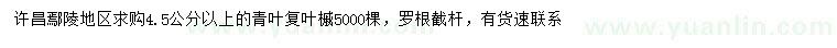 求購4.5公分以上青葉復(fù)葉槭
