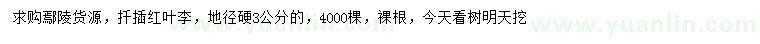 求購(gòu)地徑硬3公分紅葉李
