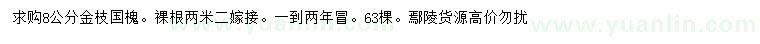 求購8公分金枝國(guó)槐