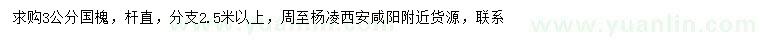 求購3公分國槐