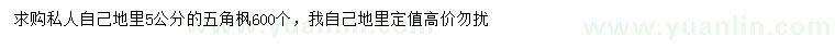 求購5公分五角楓