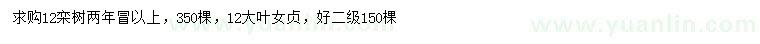 求購12公分欒樹、大葉女貞