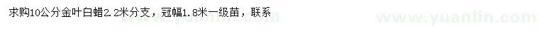 求購10公分金葉白蠟