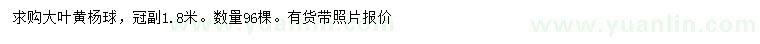 求購冠幅1.8米大葉黃楊球