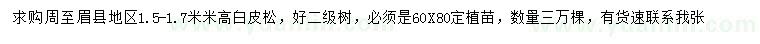 求購高1.5-1.7米白皮松