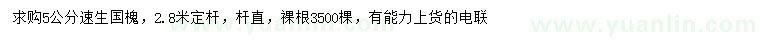 求購5公分速生國槐