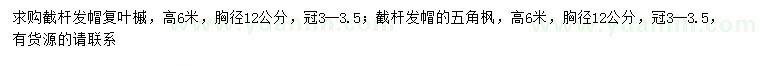 求購(gòu)胸徑12公分復(fù)葉槭、五角楓