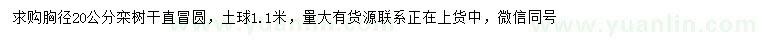求購胸徑20公分欒樹