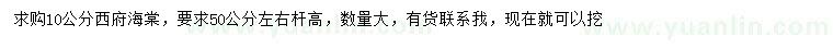 求購10公分西府海棠