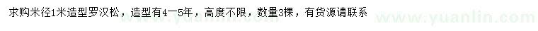 求購米徑1米造型羅漢松