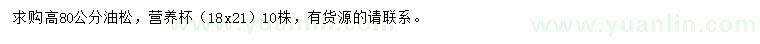 求購高80公分油松