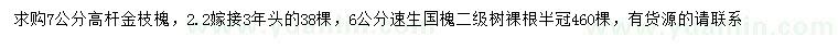 求購7公分高桿金枝槐、6公分速生國槐