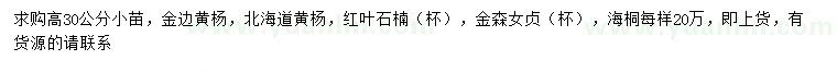求購金邊黃楊、北海道黃楊、紅葉石楠等