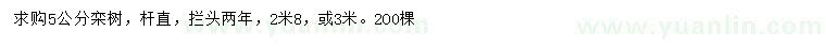 求購5公分欒樹