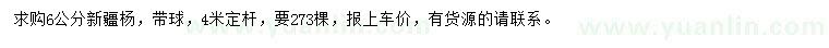 求購6公分新疆楊