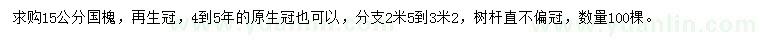 求購15公分國槐