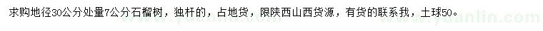 求購(gòu)地徑30公分處量7公分石榴樹(shù)