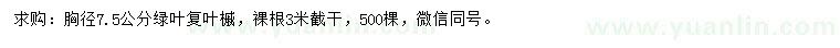 求購胸徑7.5公分綠葉復(fù)葉槭