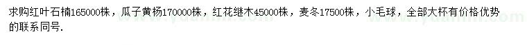求購紅葉石楠、瓜子黃楊、紅花繼木等
