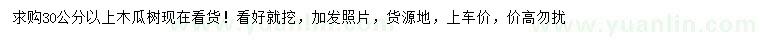 求購30公分以上木瓜樹