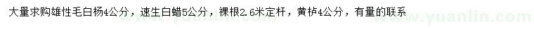 求購毛白楊、速生白蠟、黃櫨